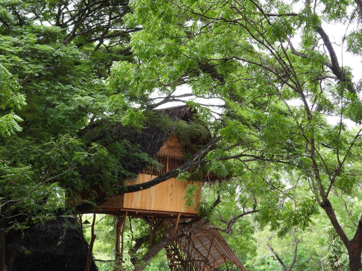 Yala Village Eco Tree House Tissamaharama Exterior foto