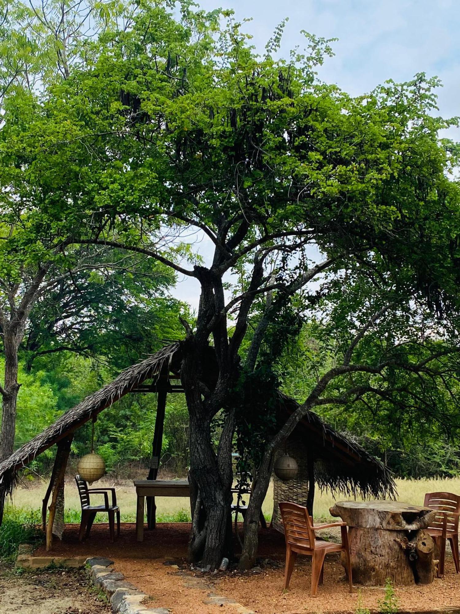 Yala Village Eco Tree House Tissamaharama Exterior foto