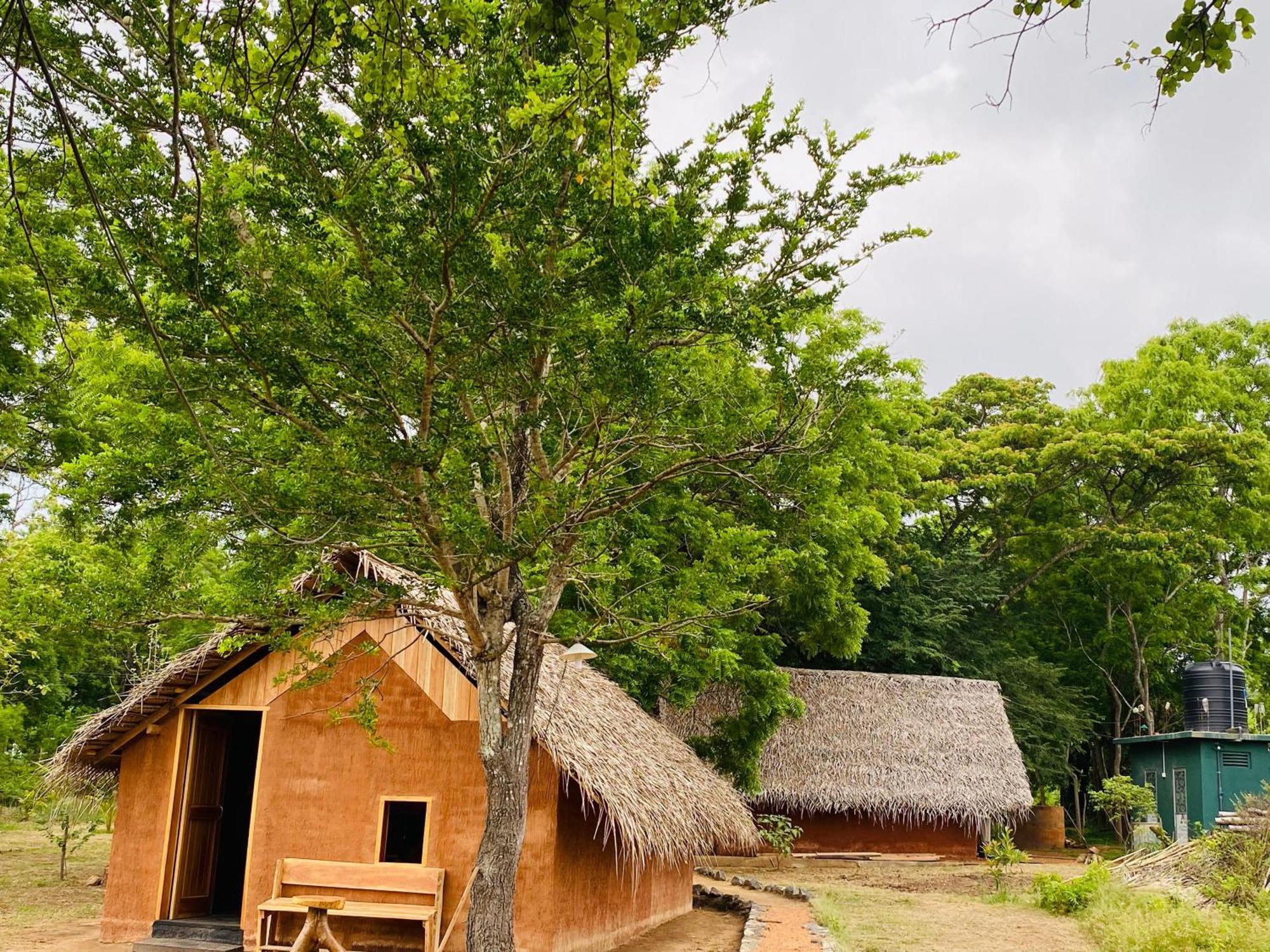 Yala Village Eco Tree House Tissamaharama Exterior foto